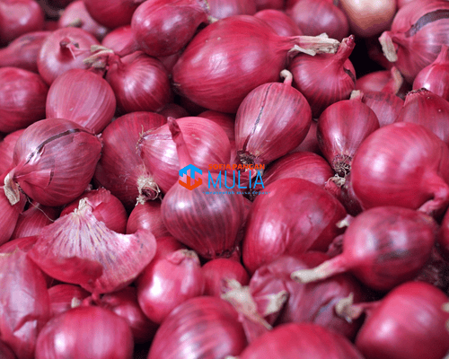 Bawang Merah